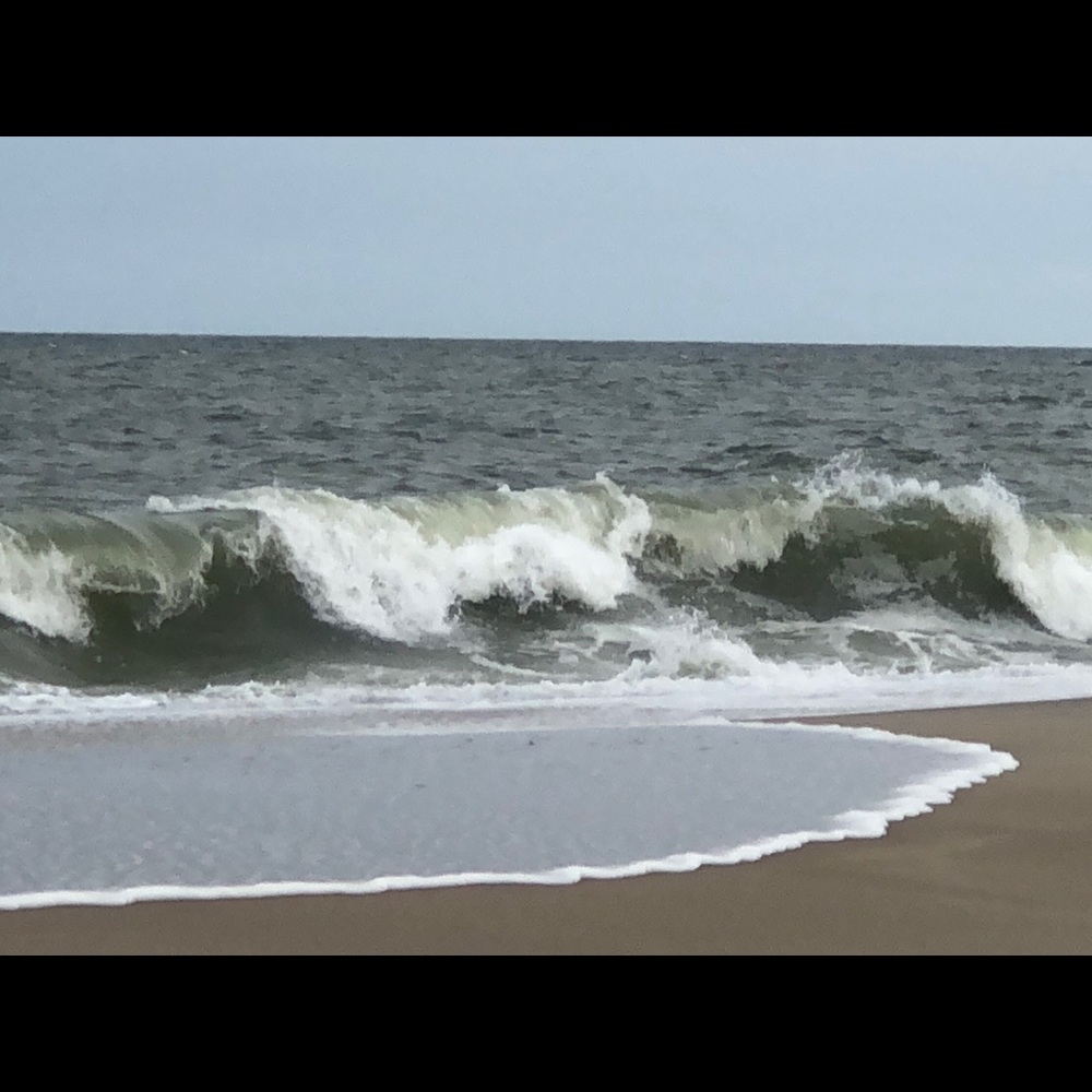 Meet your Posher, Diane